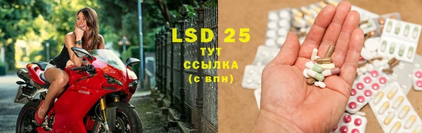 спиды Новозыбков