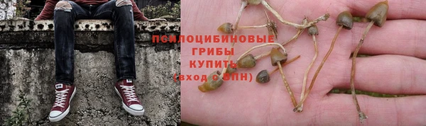 гидропоника Новокубанск