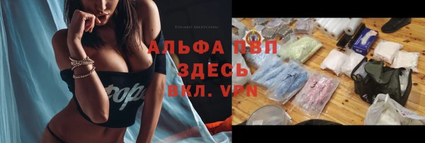 спиды Новозыбков