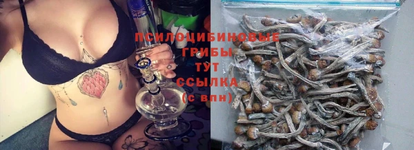 спиды Новозыбков