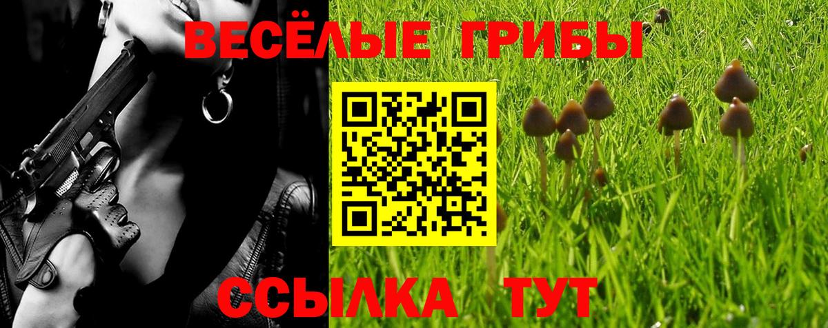 Иваново  Псилоцибиновые грибы Magic Shrooms  Псилоцибиновые грибы Psilocybe  закладки  Вход с VPN 